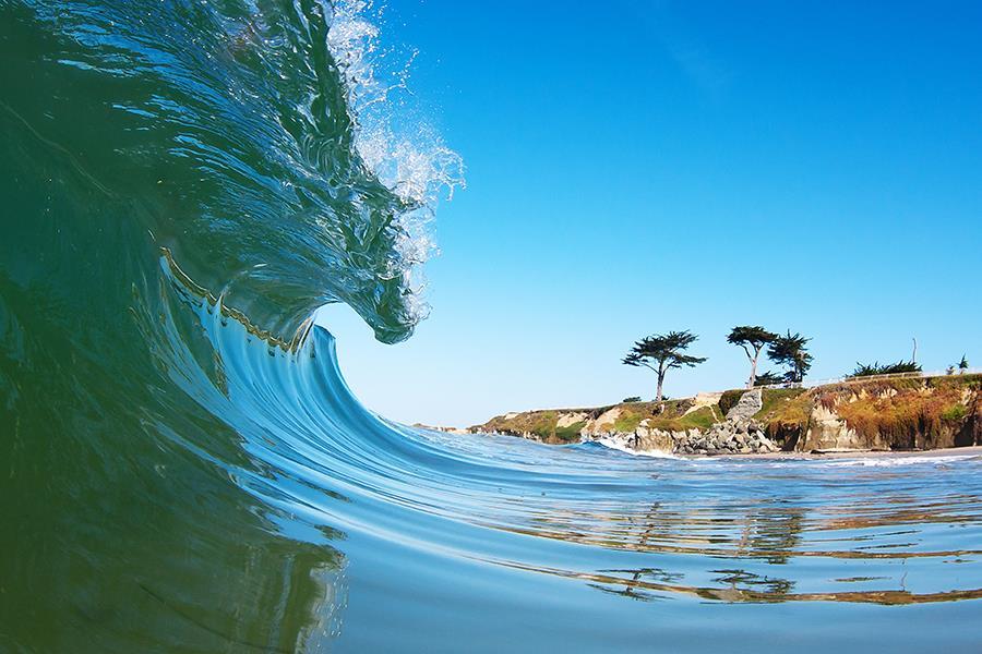 Ride The Wave (Small) - Blue