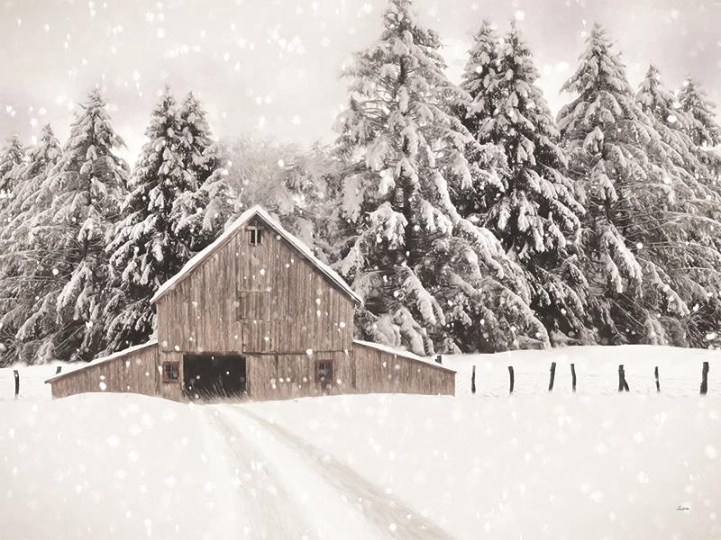 North Country By Lori Deiter (Framed Small) - Beige