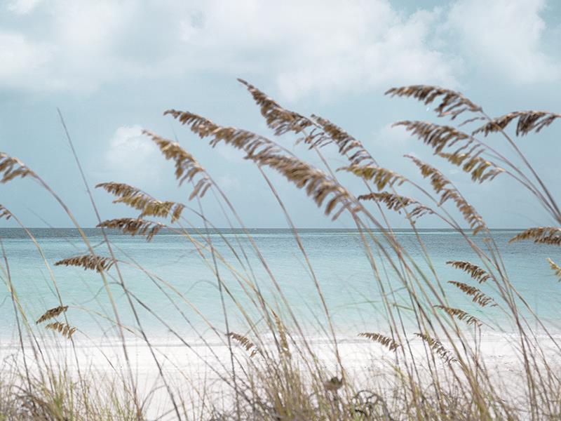 Solitude Beach By Danita Delimont (Framed) - Light Blue