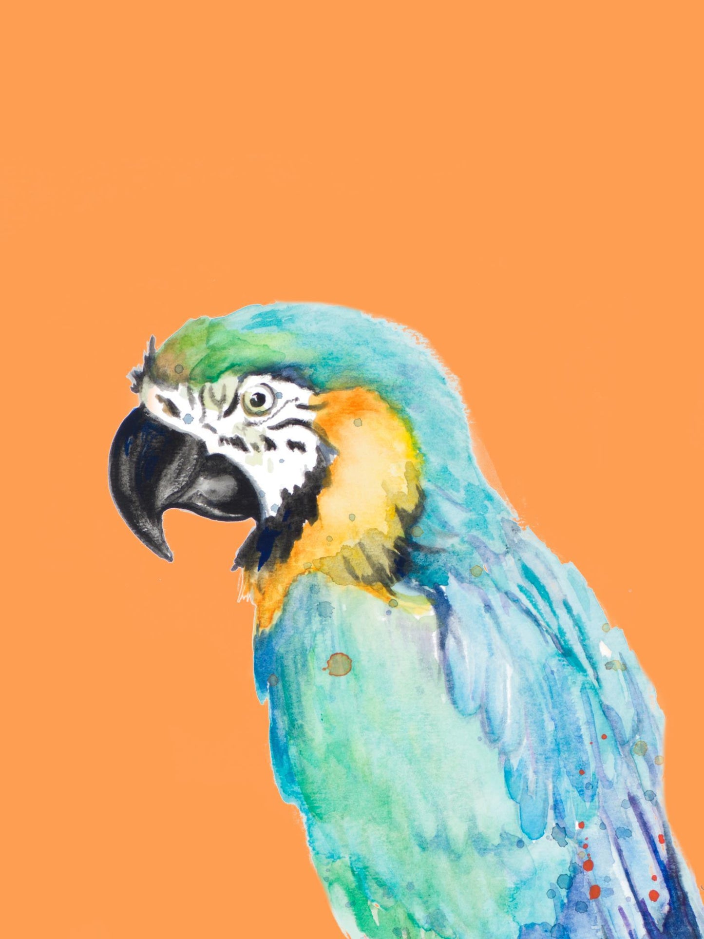 Parrot Portrait By Patricia Pinto (Small) - Orange