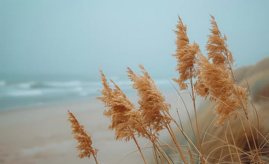 Blowing In The Wind (Small) - Light Blue