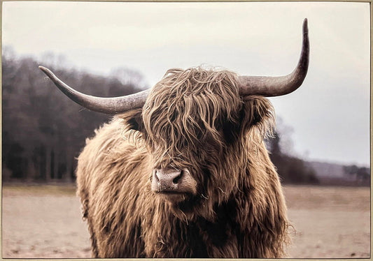 "Majestic Highland" Canvas In Frame - Brown