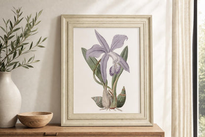 22x26 Lavender Beauties IV By Edwards - Purple