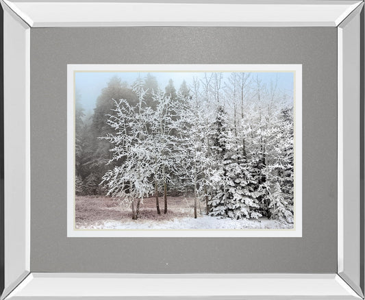 Frosty Morning By Mike Jone - Mirror Framed Print Wall Art - Gray