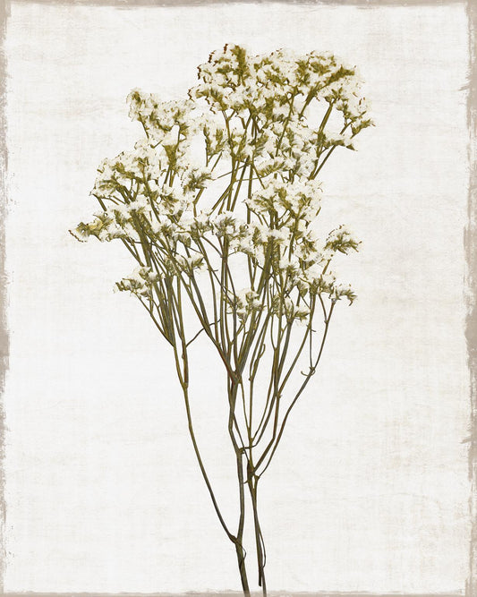 Small - Farmhouse Pressed Flower II By Natalie Carpentieri - Beige