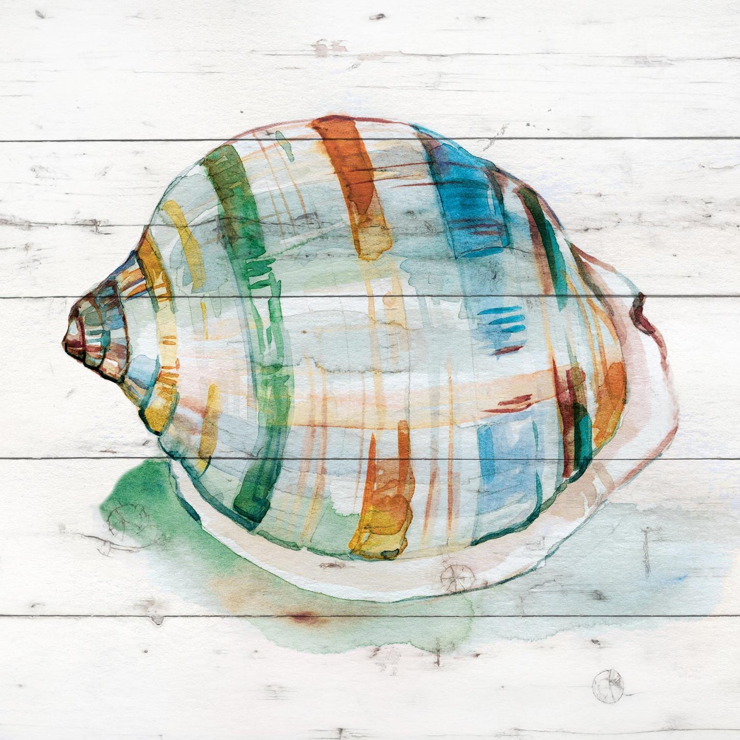 Framed - Tye Dyed Shell I By Carol Robinson - Gray