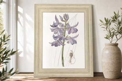 22x26 Lavender Beauties III By Edwards - Purple