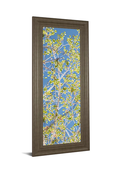 Spring Poplars I By Sharon Chandler - Framed Print Wall Art - Green