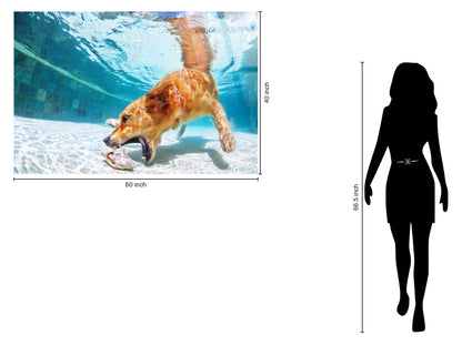 Poolside Retriever Tempered Glass - Blue / White