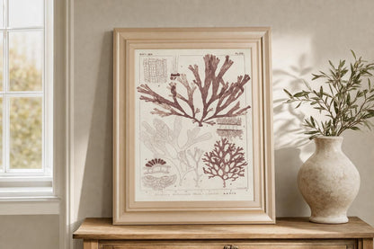 22x26 Antique Coral Seaweed IV By Vision Studio - Pink