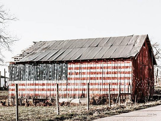 American Flag Barn By Jennifer Rigsby (Framed) (Small) - Gray