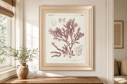 22x26 Antique Coral Seaweed I By Vision Studio - Pink