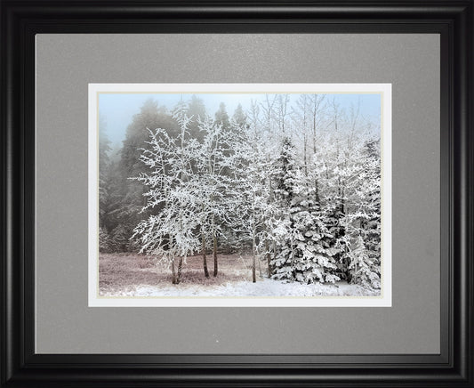 Frosty Morning By Mike Jone - Framed Print Wall Art - Gray