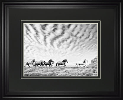 Horse Run III By PHBurchett - Silver