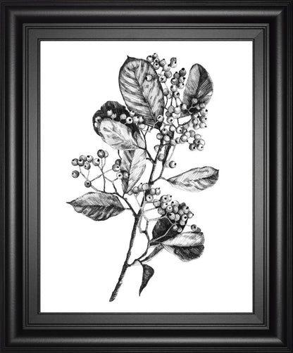 22x26 Hawthorn Berry Branch I By Emma Scarvey - White