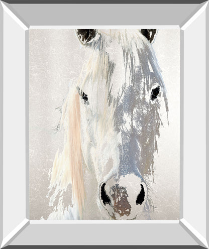Sage By Marvin Pelkey - Mirror Framed Print Wall Art - Gray