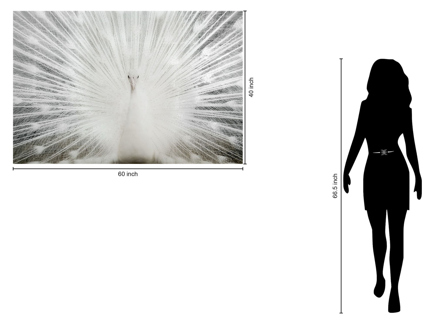 Tempered Glass With Foil & Rhinestones - White Peacock - White