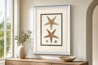 Coastal Curiosity I By Unknown - Light Brown