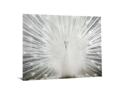 Tempered Glass With Foil & Rhinestones - White Peacock - White