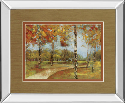 Autumn Path By Carmen Dolce - Mirror Framed Print Wall Art - Light Brown