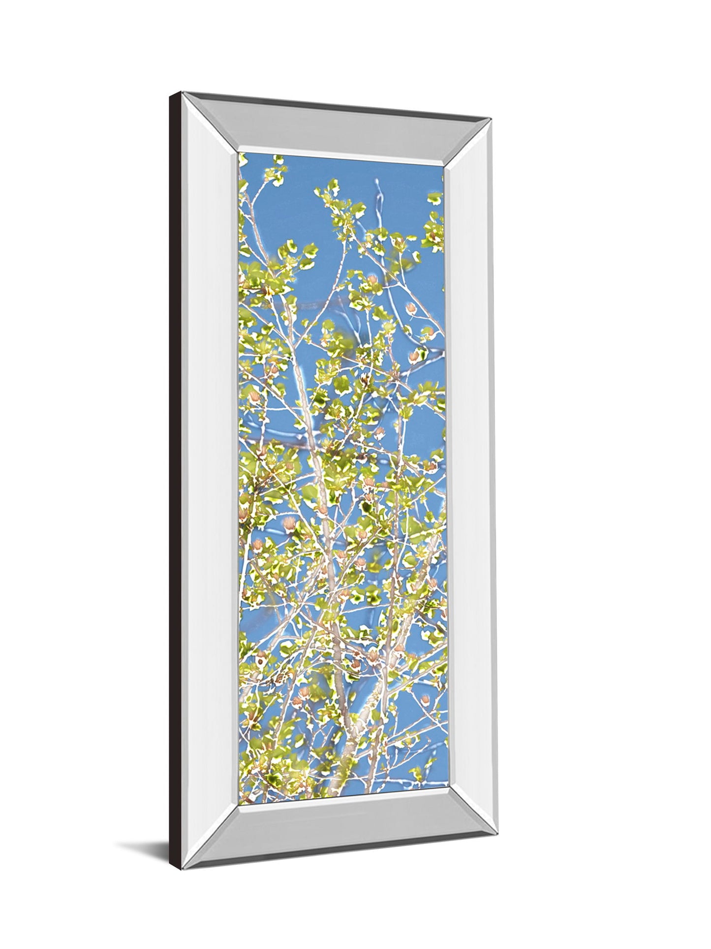 Spring Poplars Il By Sharon Chandler - Mirror Framed Print Wall Art - Green