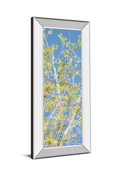 Spring Poplars Il By Sharon Chandler - Mirror Framed Print Wall Art - Green