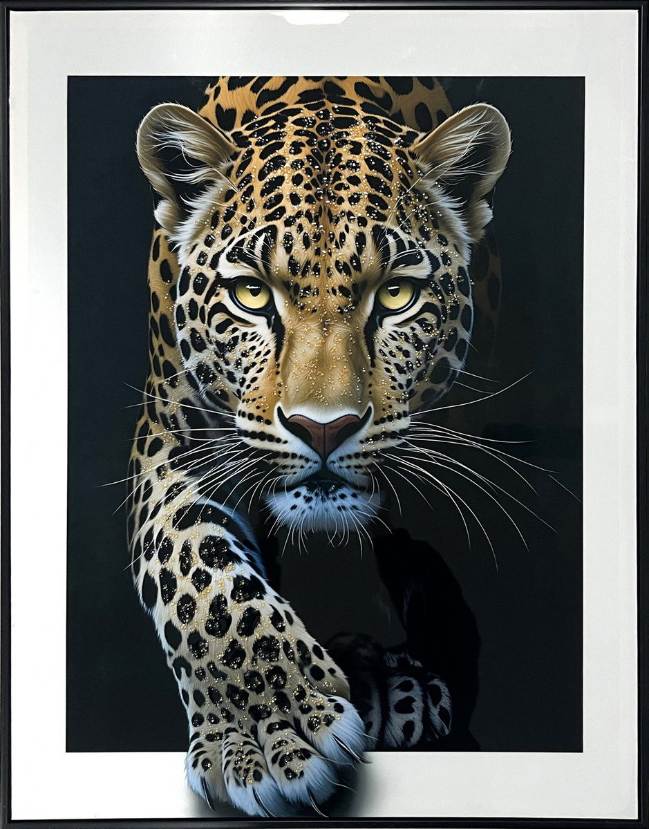 Midnight Stalker I Gloss Canvas With Rocks In Frame - Black / White