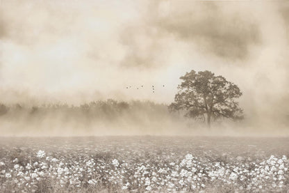 84x56 Hand Painted Textured Curated Canvas - Silver